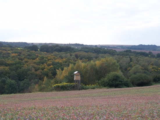 místo mojeho častého relaxu