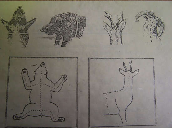 jak je správný řez