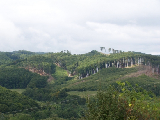 krajina
