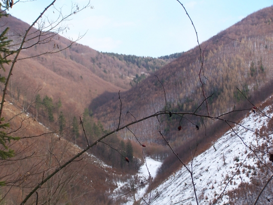 krajina v okolí Prievidze 1