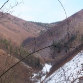 krajina v okolí Prievidze 1