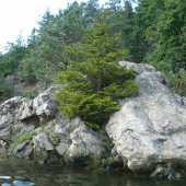 zastavení na vodě