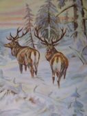 Pradědští jeleni v akvarelu