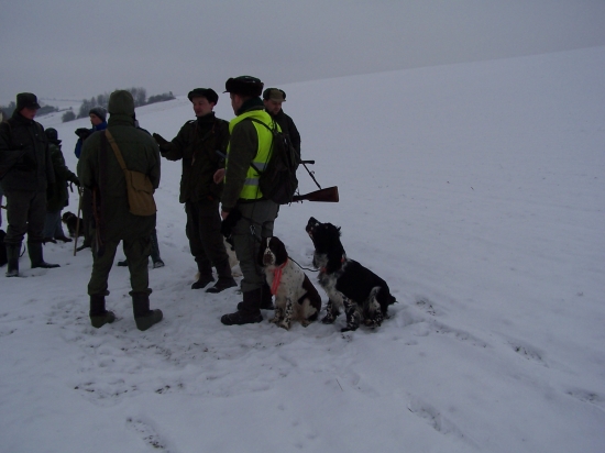 veroslavorlovsky a jeho špringršpaňelé