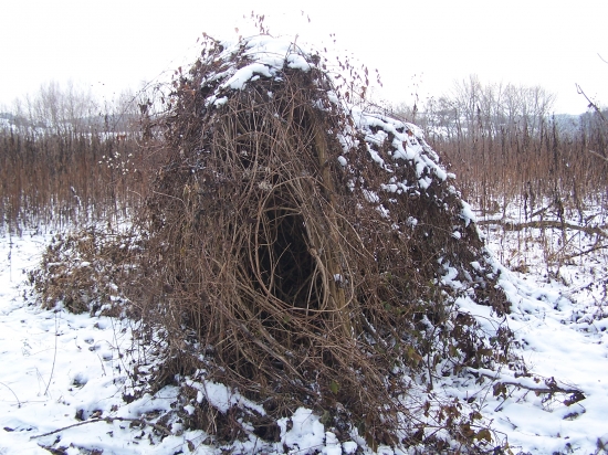 příroda stavitelem