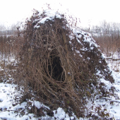 příroda stavitelem