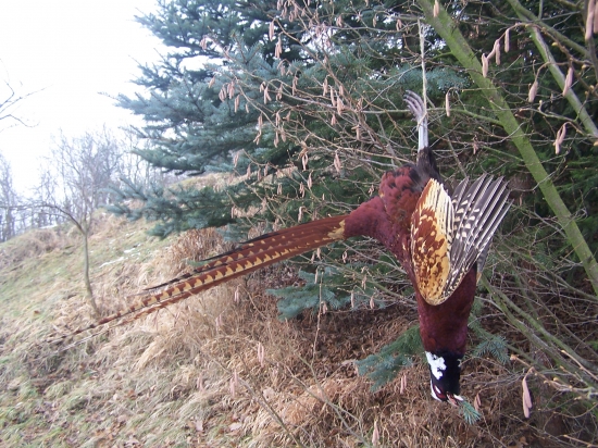 někdo tu byl na záletech