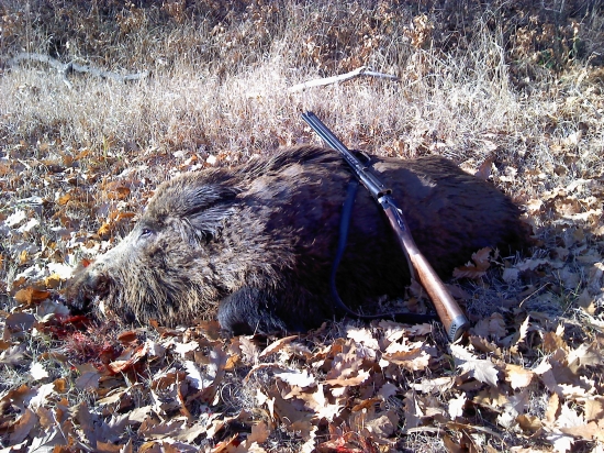 Spoločná polovačka