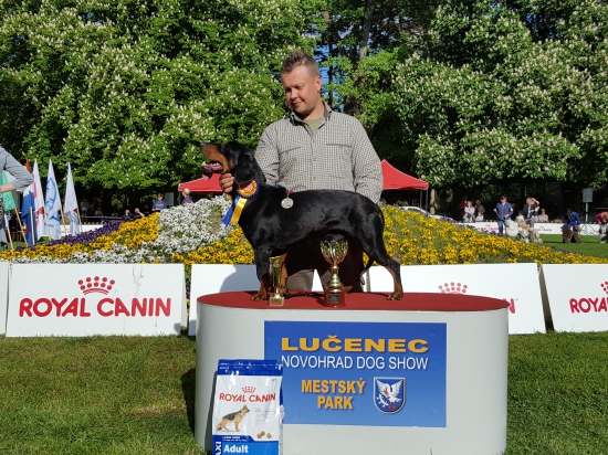 Brutus spod Macovho vrchu-víťaz SLOVENSKA