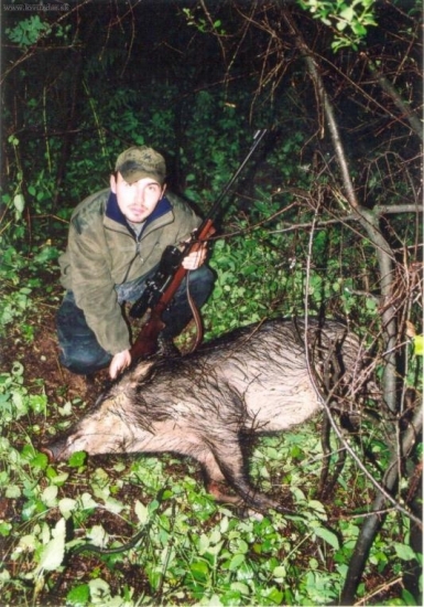 prvý diviak jún 2005