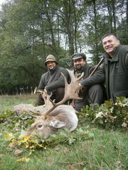 u kamarada v madarsku