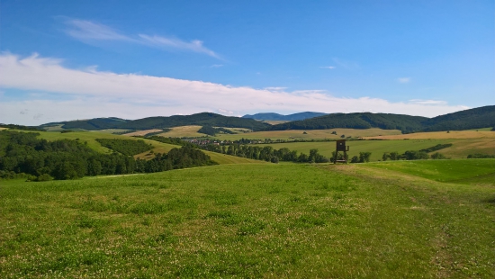 vyhľad
