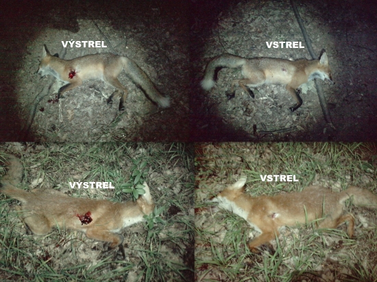 Speer Hot Core 300gr-45-70 Goverment