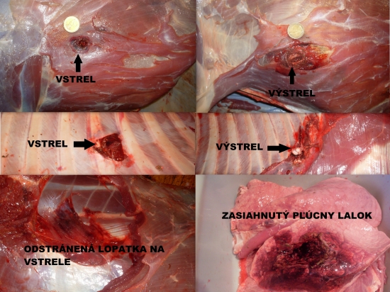prebíjaný  Speer Hot Core 300gr- 45-70 Goverment