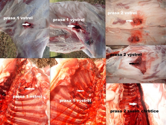 prebíjaný  45-70 Govt.-Ares EPRX 405gr