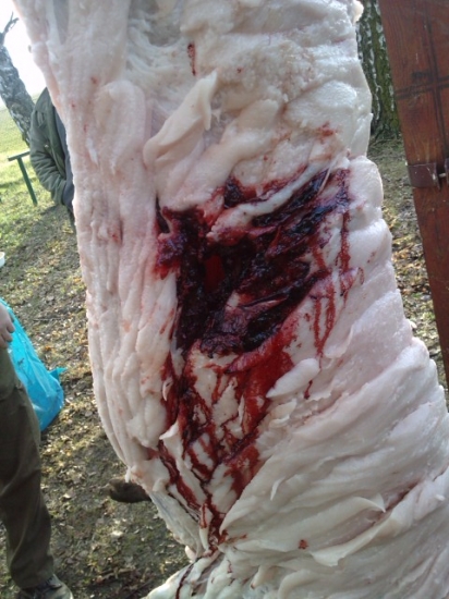 S&B 180gr SPCE 30-06