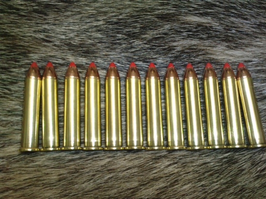 45-70 goverment - Hornady Monoflex 250gr