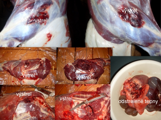 prebíjaný  Nosler Balistic Tip 55gr-223 remington