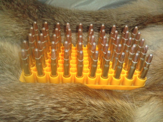 Hornady RN 170gr-8x60S