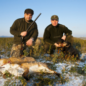 Líšky zo starej nory