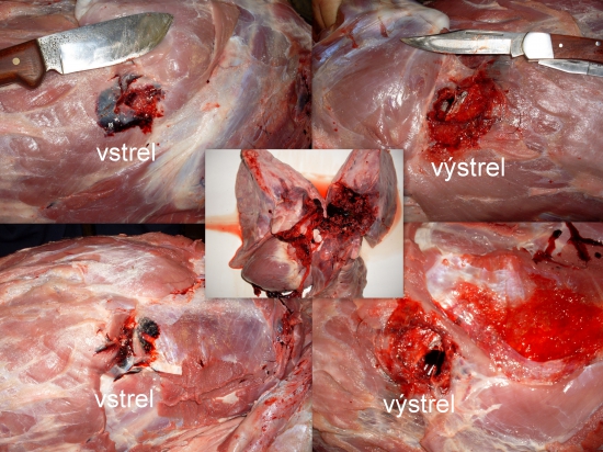 prebíjaný  45-70 goverment -Hornady Monoflex 250gr
