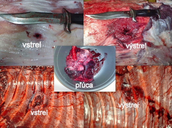 Prebíjaný 45-70 goverment - Hornady Monoflex 250gr