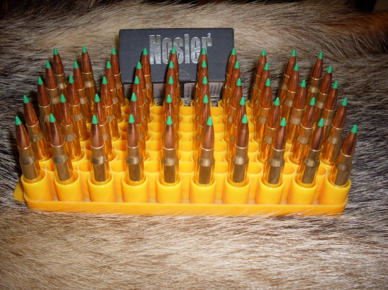 Nosler Balistic Tip 165gr-308Win