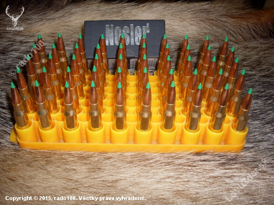 Nosler Balistic Tip 165gr-308Win