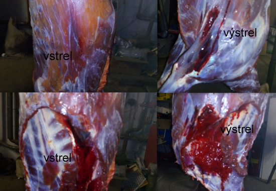 223 rem. - Barnes TTSX 50gr