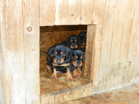 Dnes už idú preč :o(