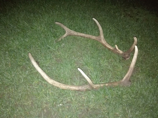 Aj otcovi sa zadarilo