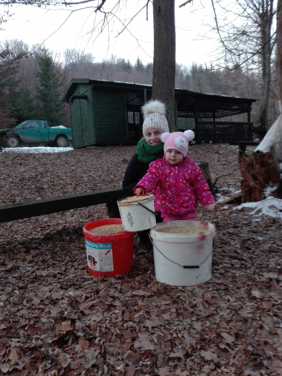 Silvestrovskè prikrmovanie