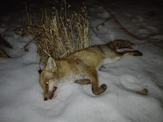 Po mesiaci pôstu.....