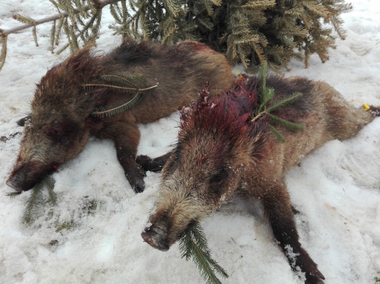 Ukončenie sezóny.....