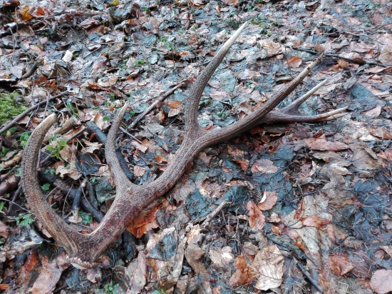 Krásny pohľad......