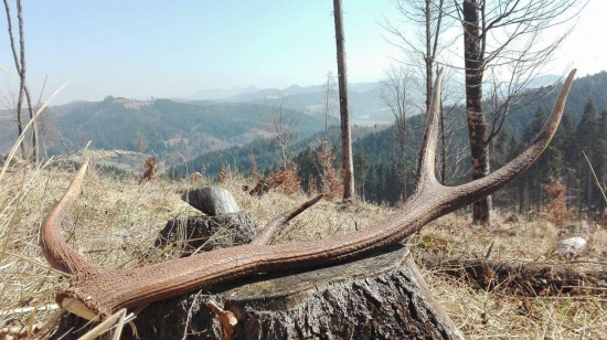 Dnes opäť šťastie ;);)