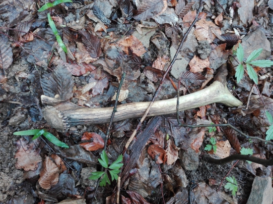 Chvíľu si tam poležal...