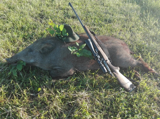 Sezóna zahájená...