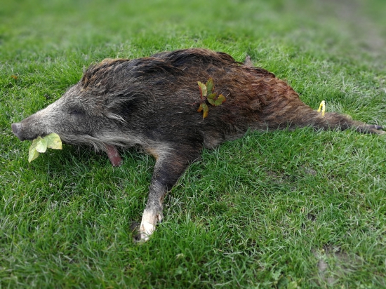 Jubilejný s číslom 70 ;)