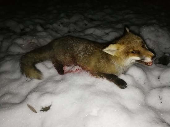 Sezóna zahájená :)