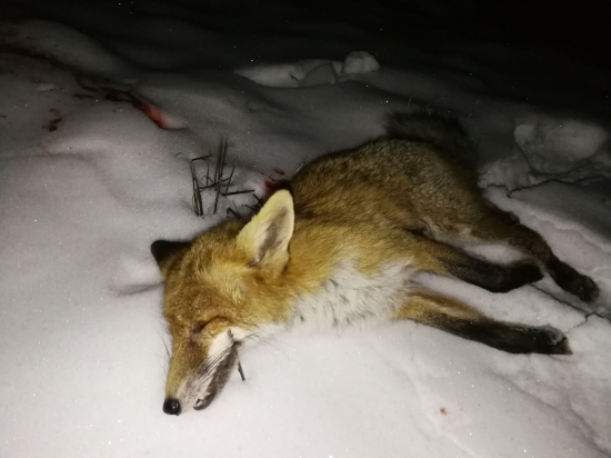 Noc má svoju moc...