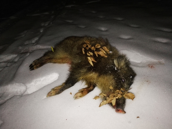 Keď ťa šťastie neopúšťa...