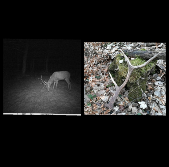 Ďalšia odmena :) :)