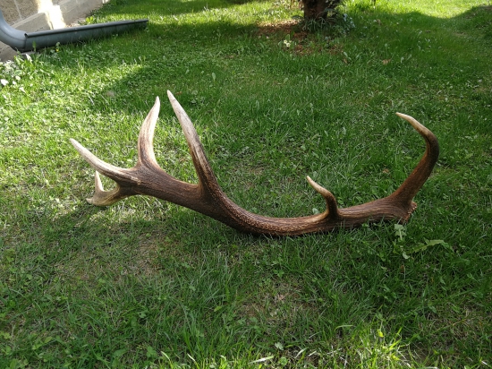 Do páru k id332129...