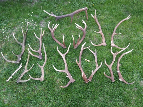 Takto  to toho roku skončilo ;)