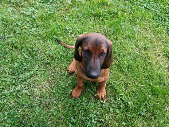 Wera z Kmeťovej Horárne..