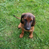 Wera z Kmeťovej Horárne..