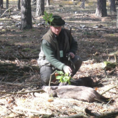 Flek-FD-Uspesna dohladavka