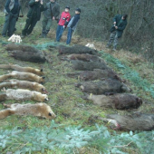 Spolocna polovacka nov.2009