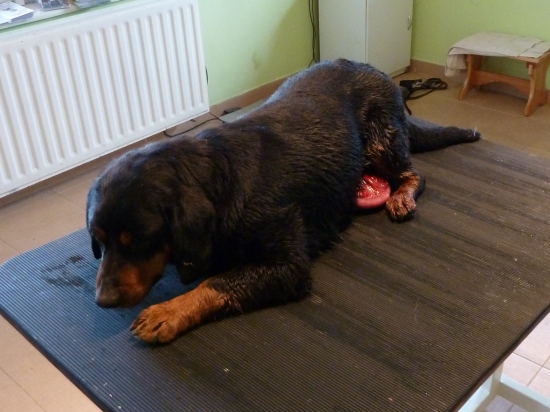 A taká nevinná prechádzka to vyzerala byť.